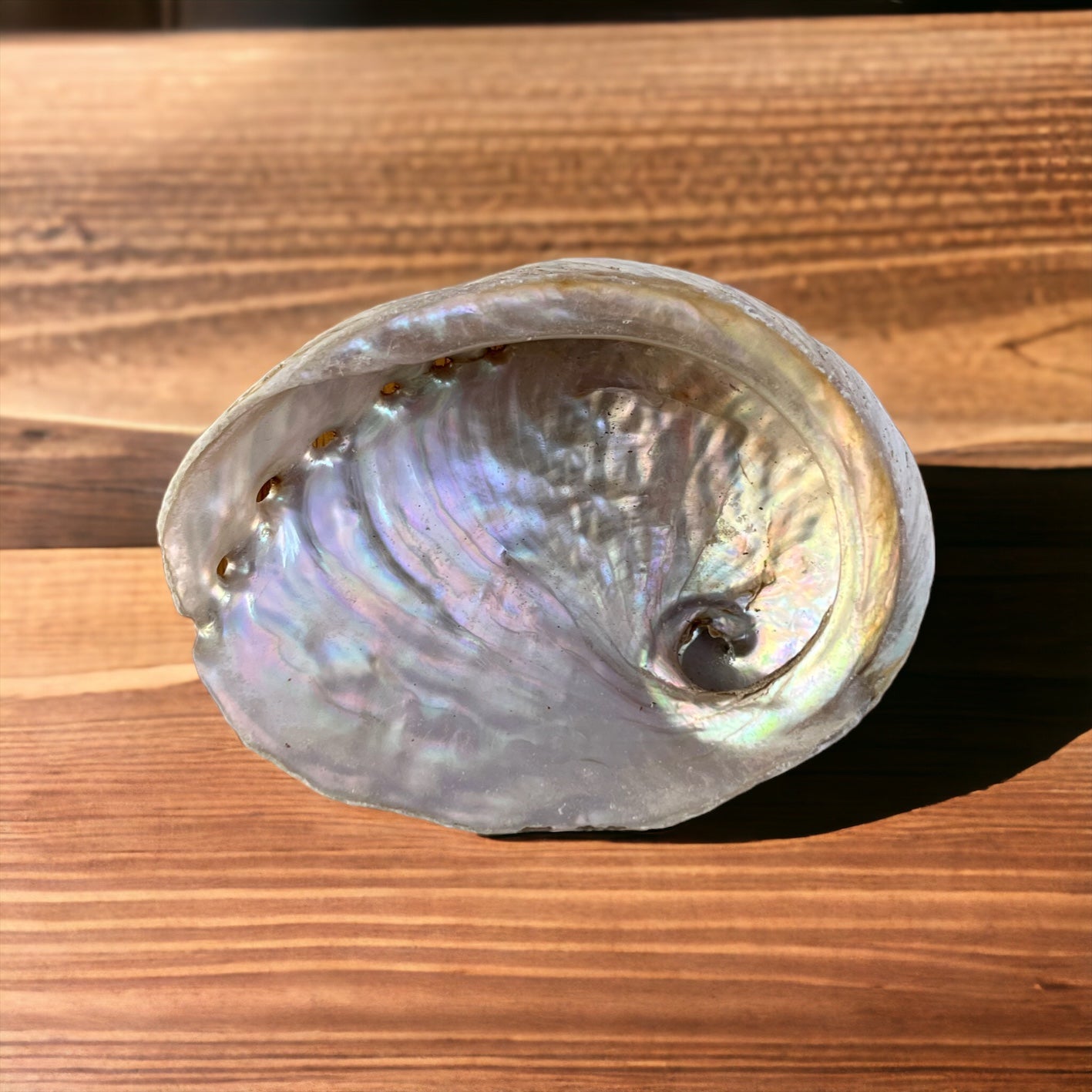 Abalone Shell Smudge Bowl